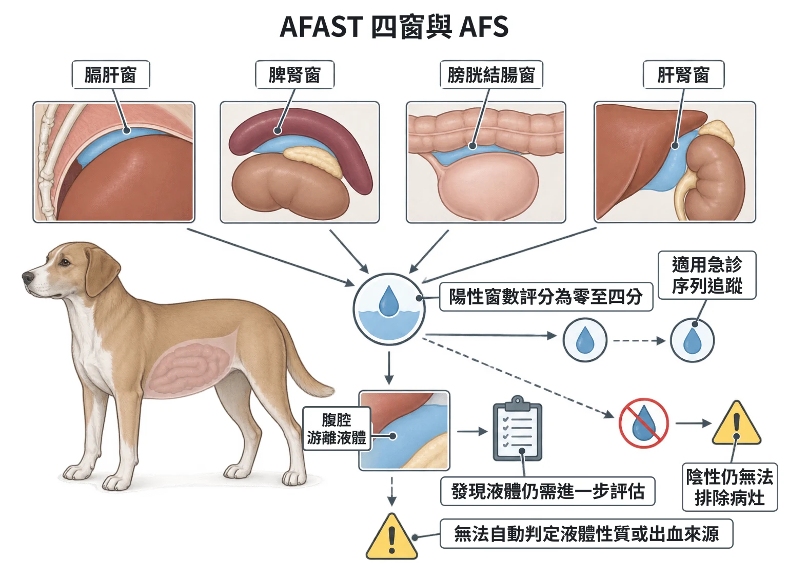 AFAST 四窗與 AFS教學插圖