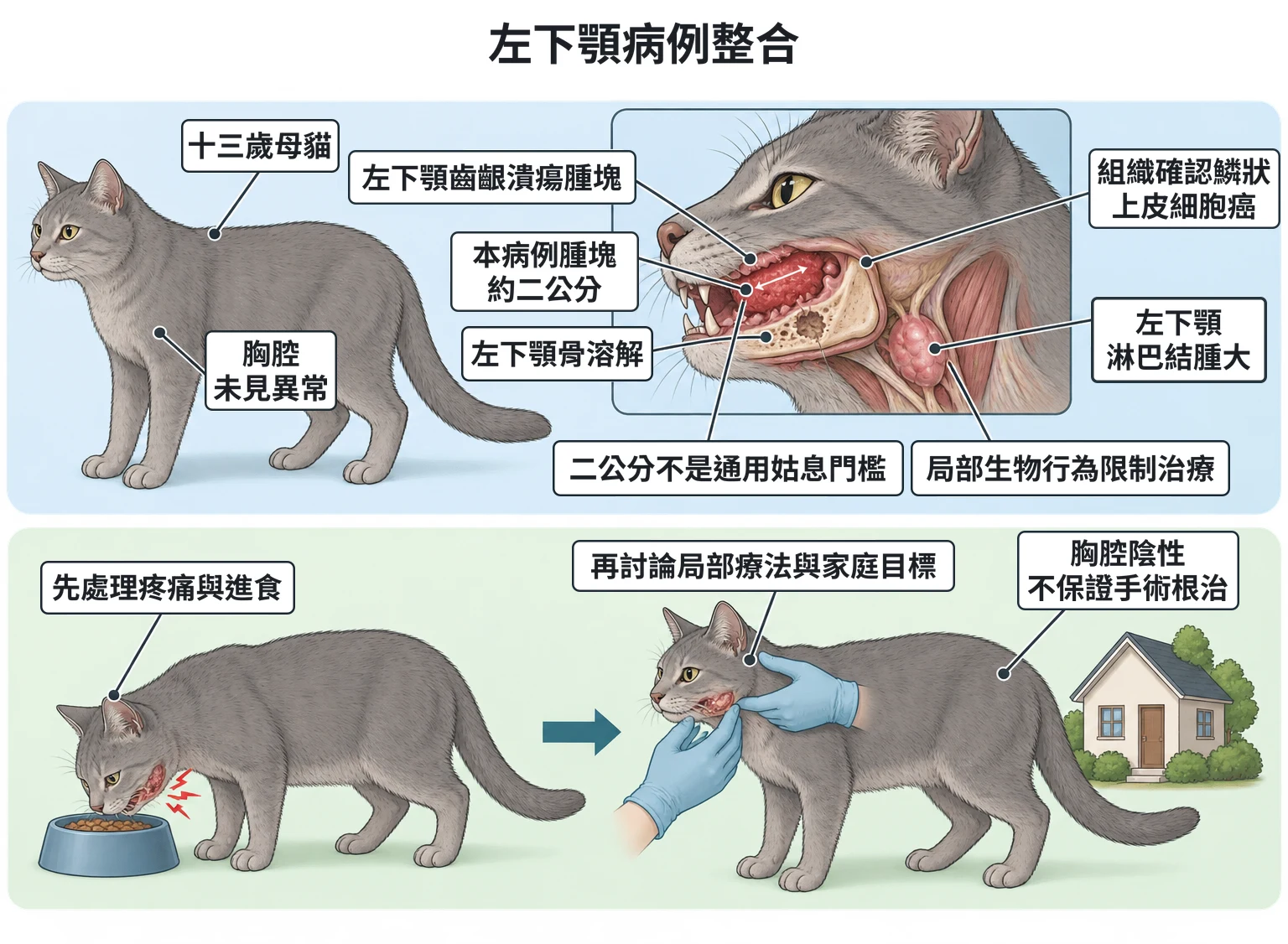 左下顎病例整合教學插圖