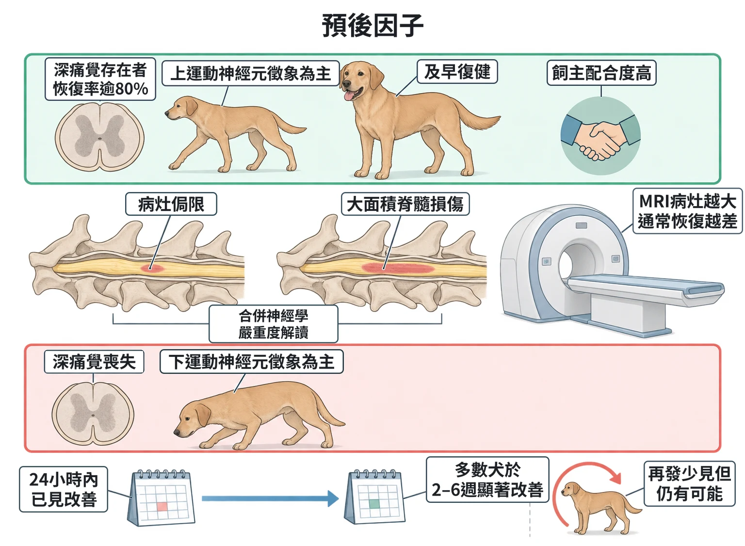 預後因子教學插圖