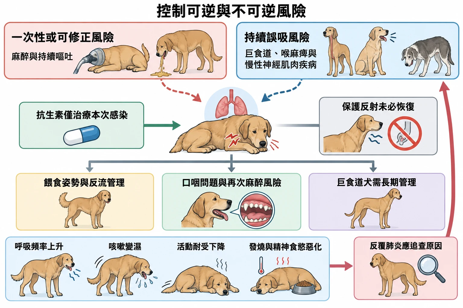 控制可逆與不可逆風險教學插圖