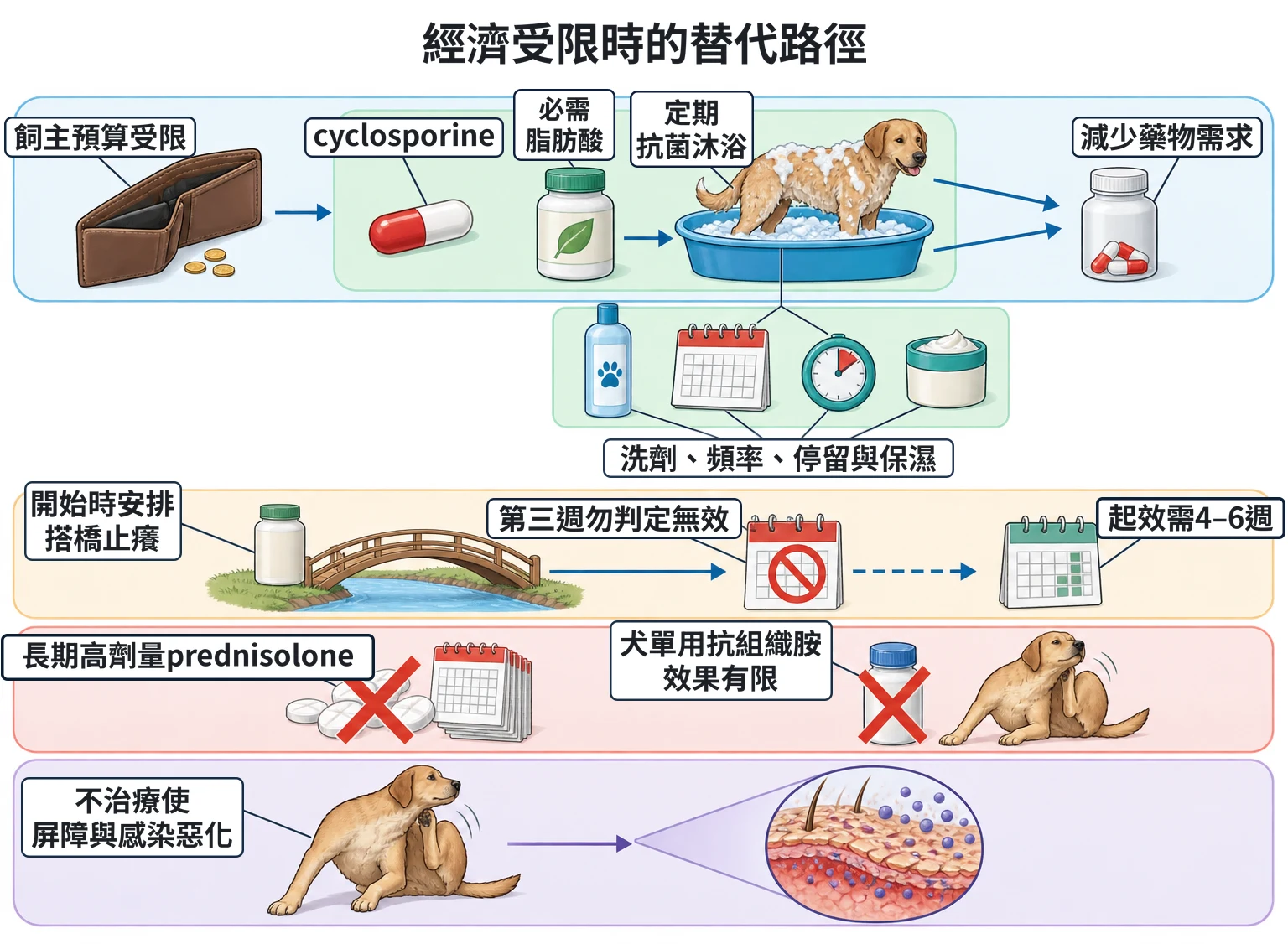 經濟受限時的替代路徑教學插圖