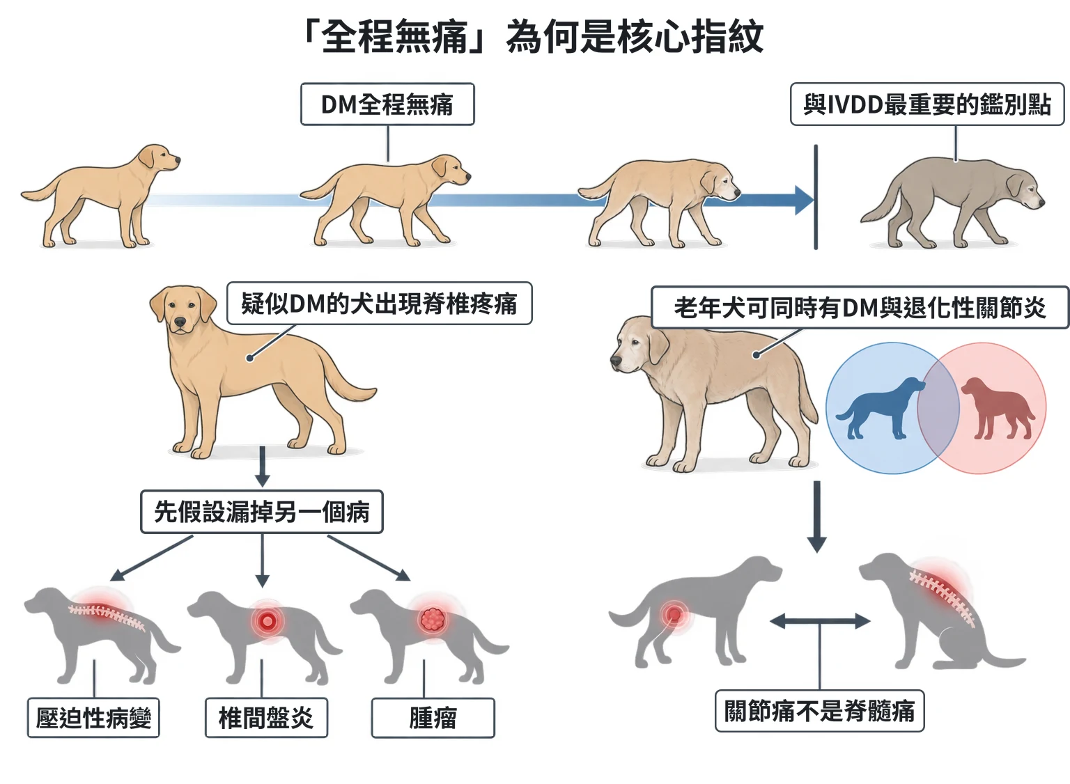 「全程無痛」為何是核心指紋教學插圖