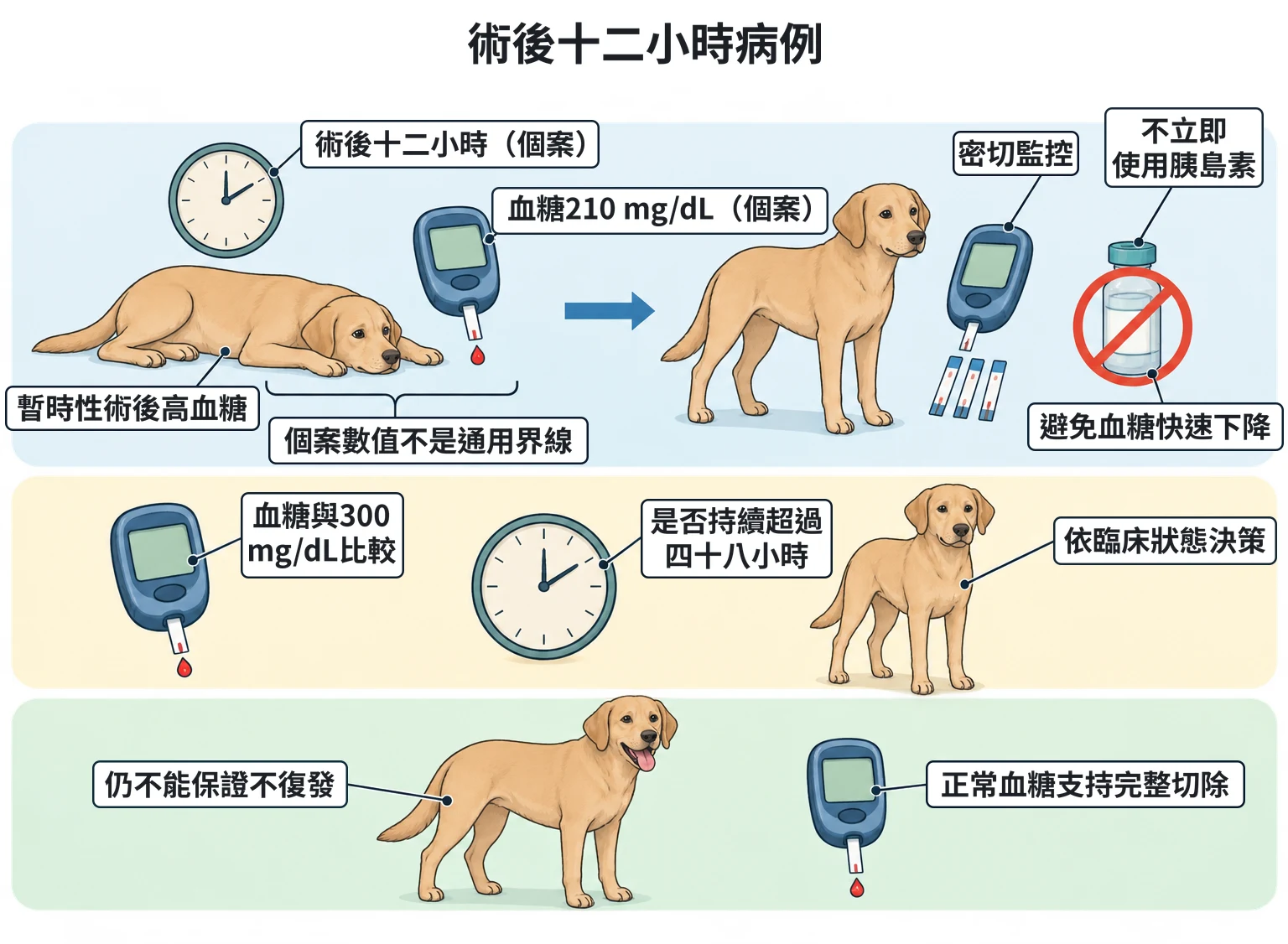 術後十二小時病例教學插圖