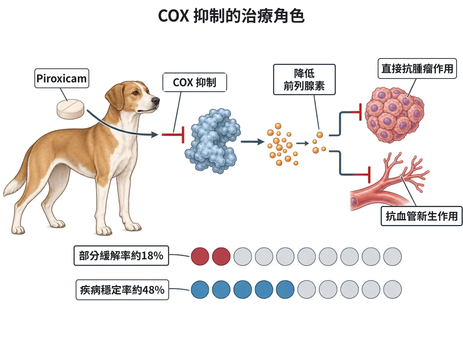 COX 抑制的治療角色教學插圖