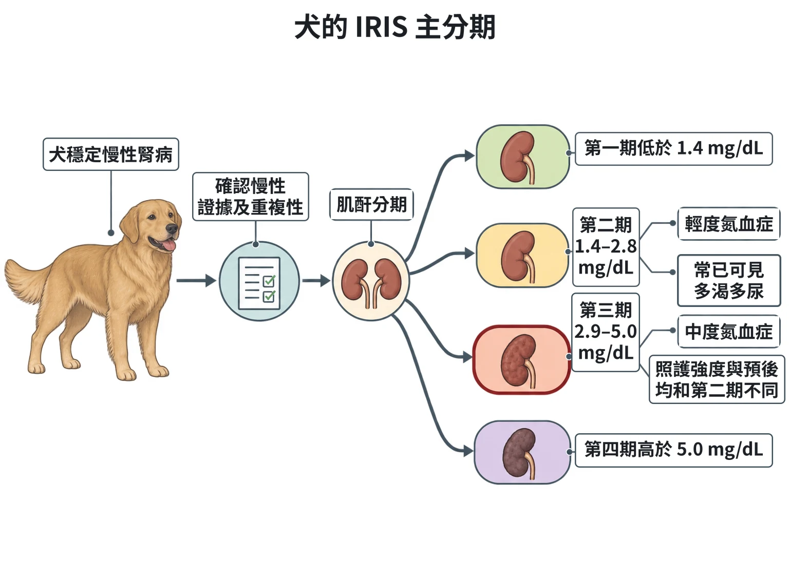 犬的 IRIS 主分期教學插圖