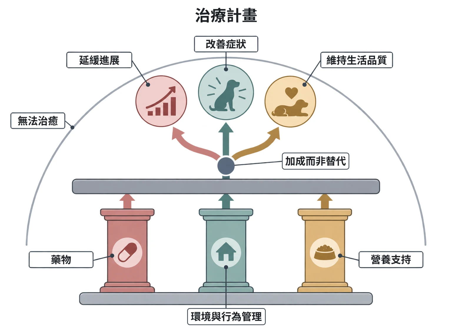 治療計畫教學插圖