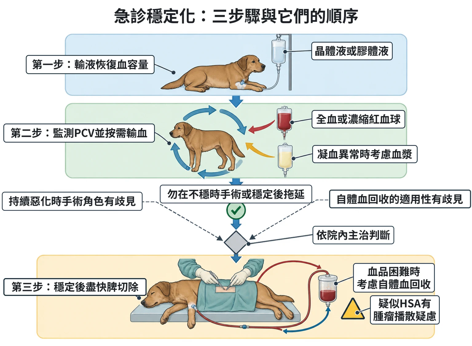 急診穩定化:三步驟與它們的順序教學插圖