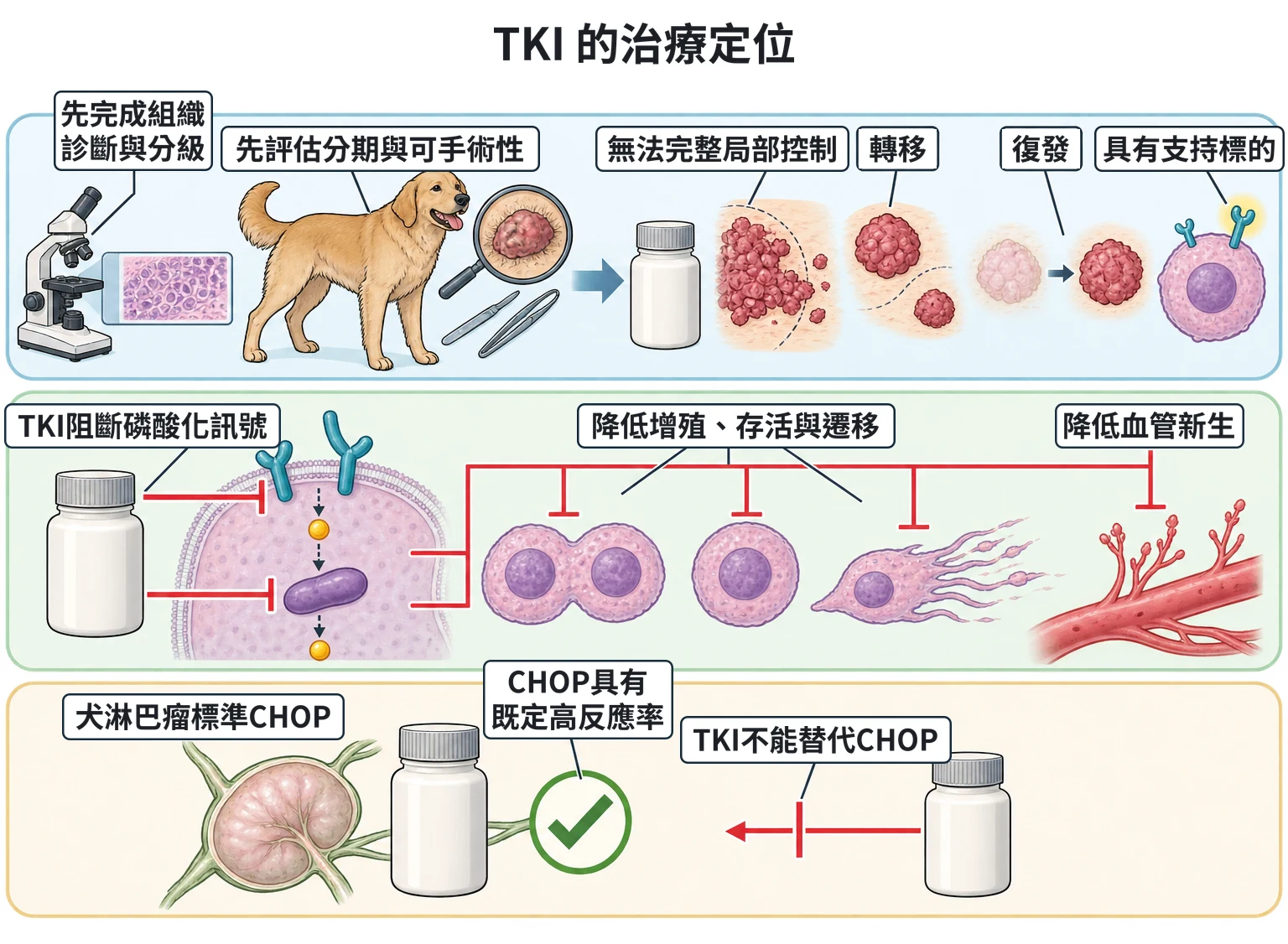 TKI 的治療定位教學插圖