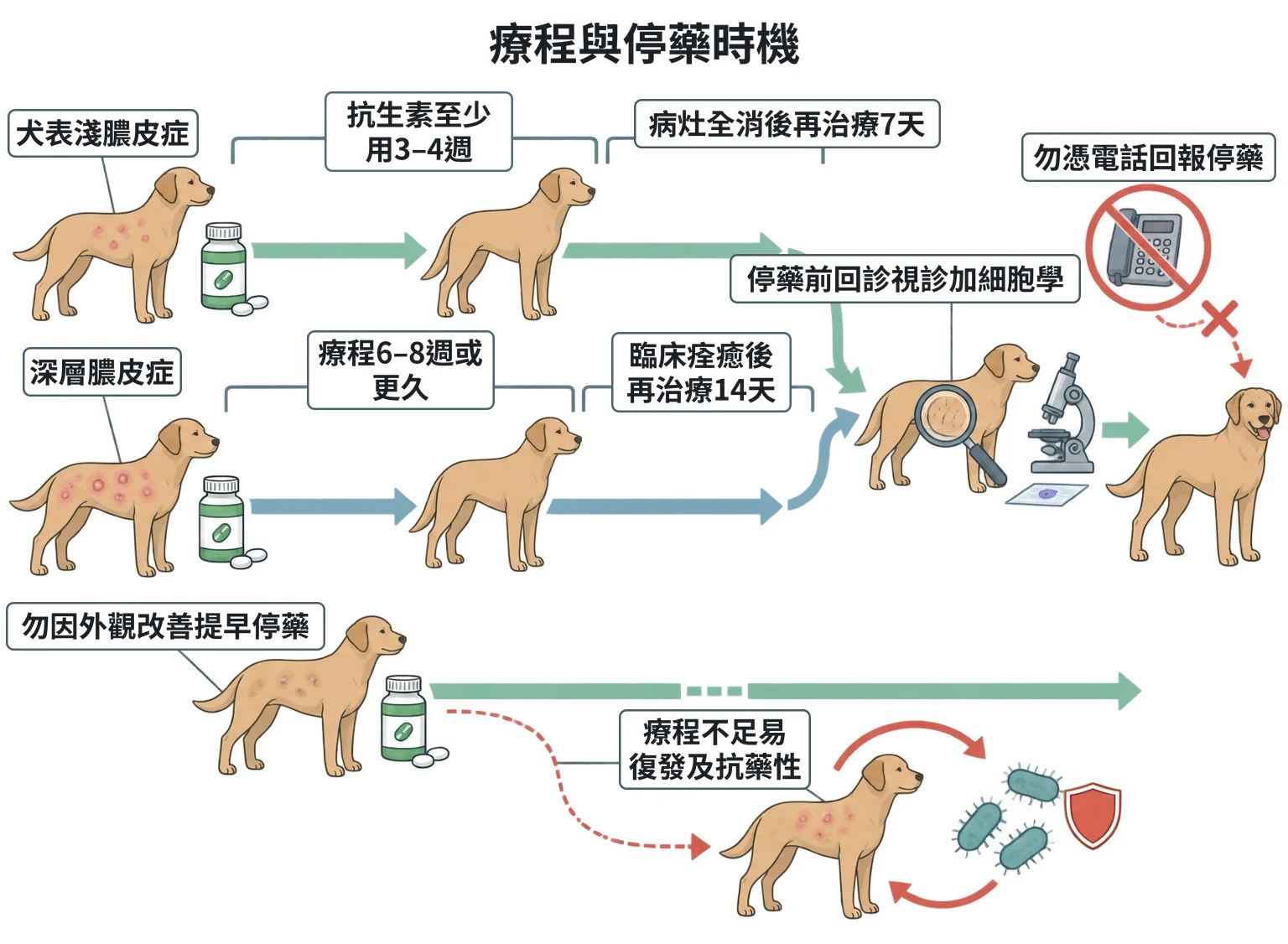 療程與停藥時機教學插圖