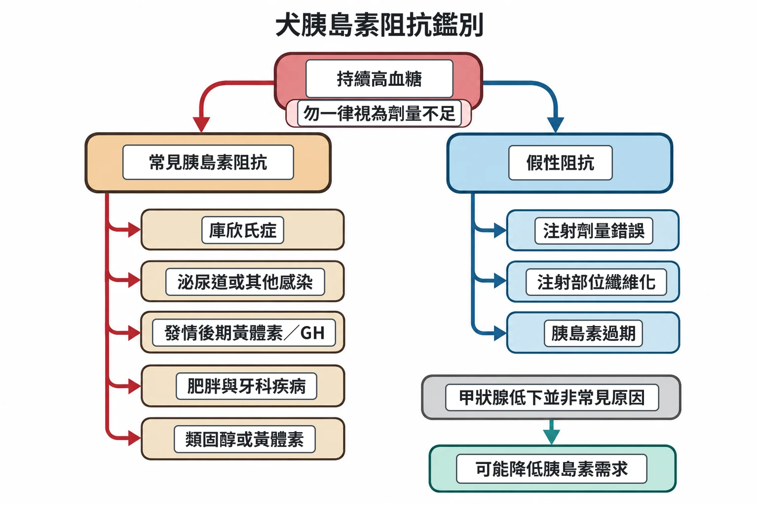 犬胰島素阻抗鑑別教學插圖