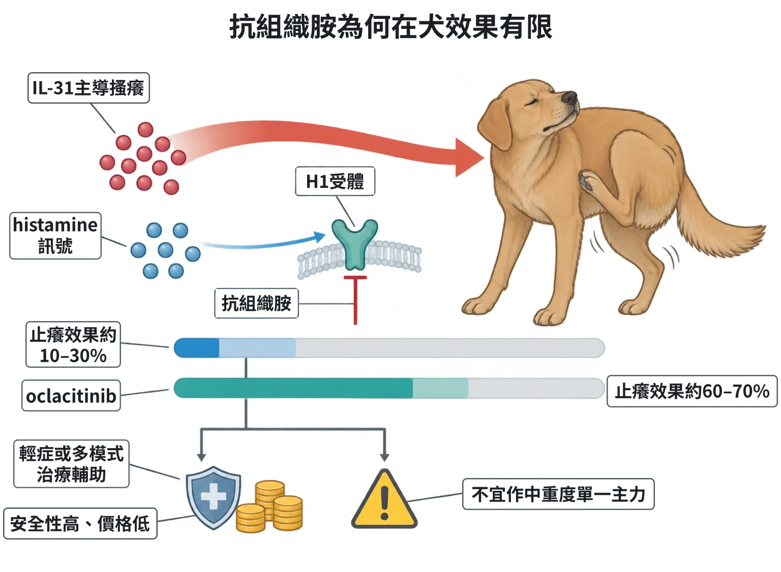 抗組織胺為何在犬效果有限教學插圖