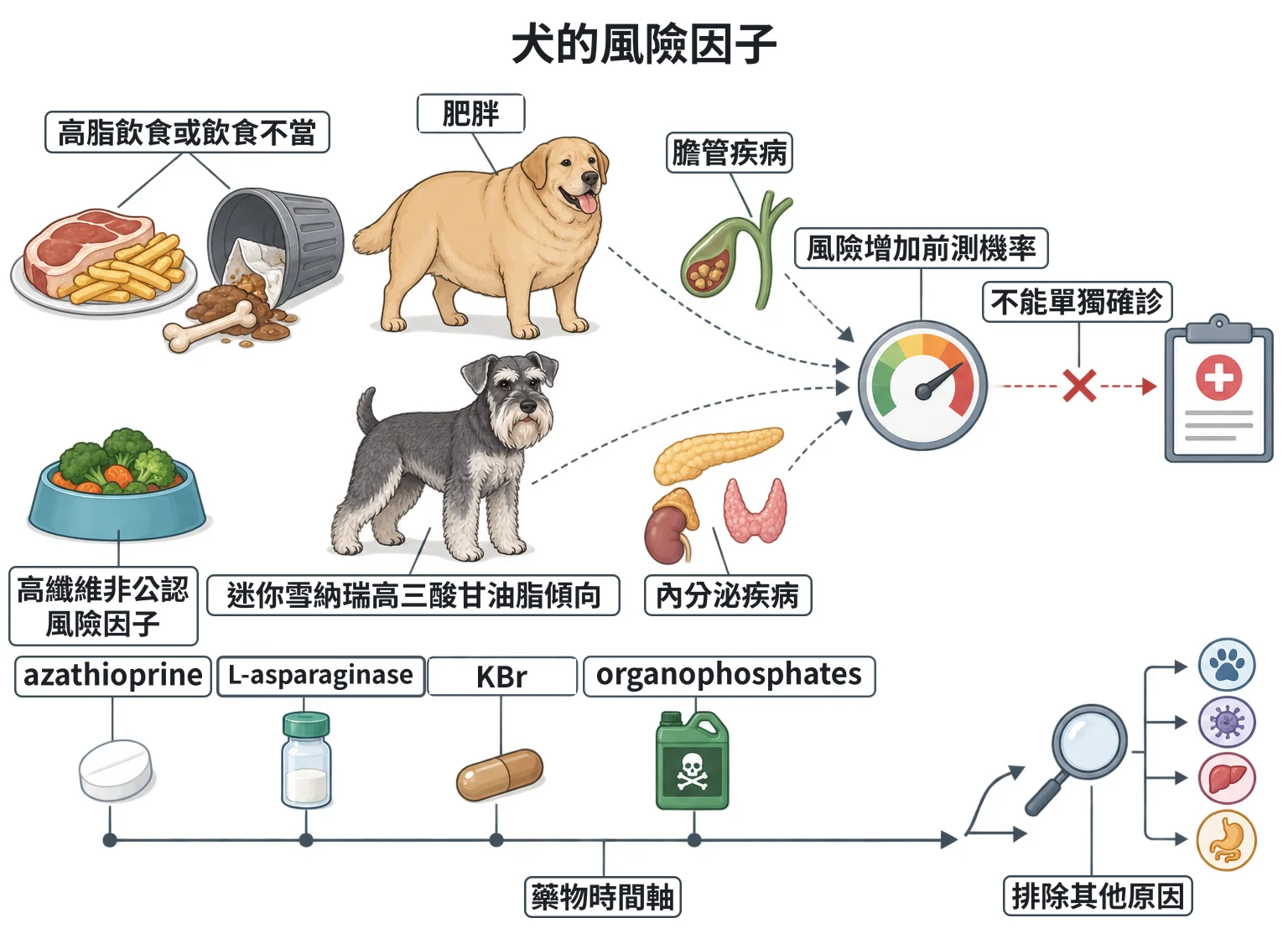 犬的風險因子教學插圖