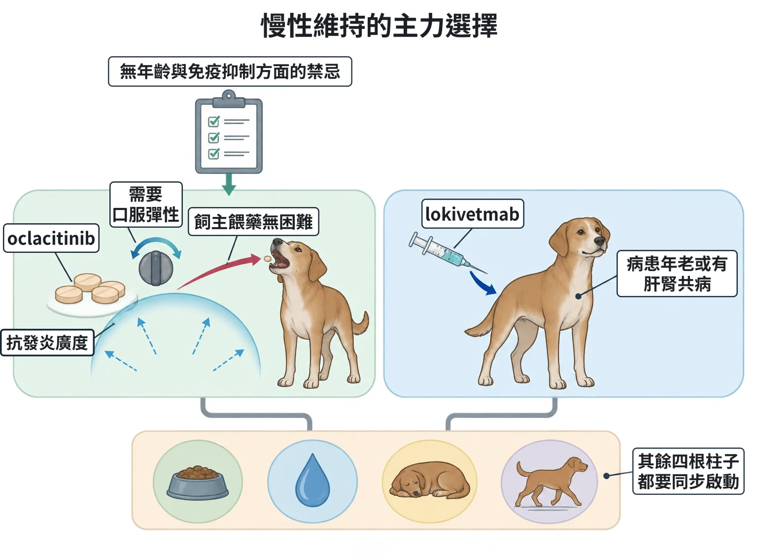 慢性維持的主力選擇教學插圖