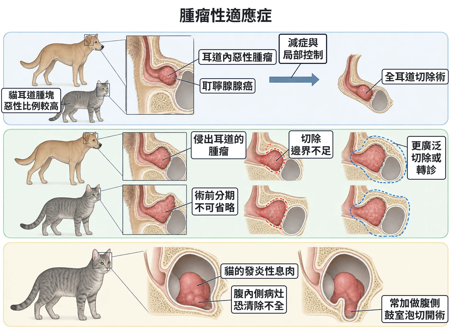 腫瘤性適應症教學插圖