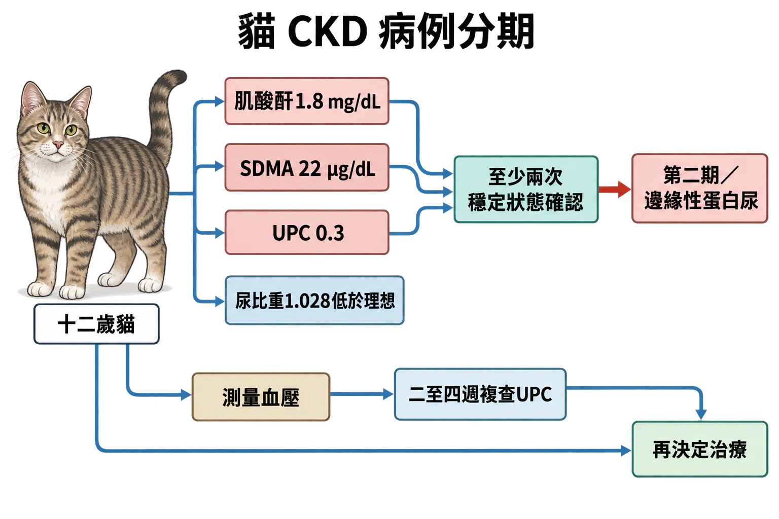 貓 CKD 病例分期教學插圖
