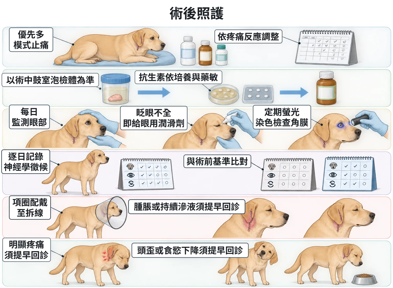 術後照護教學插圖