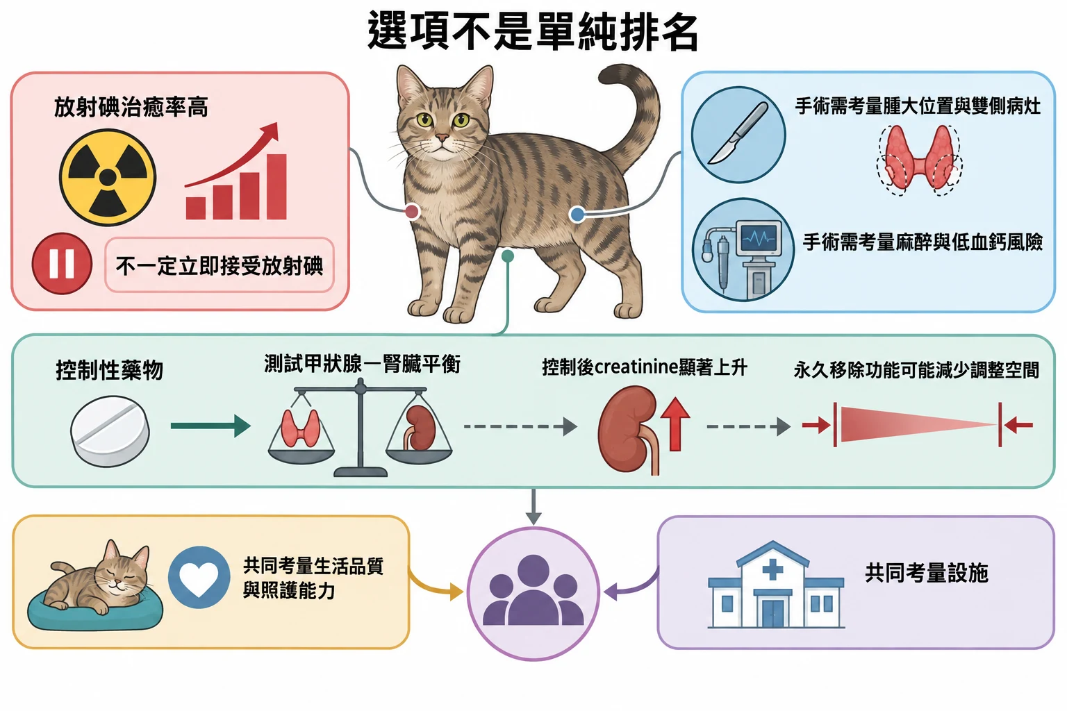 選項不是單純排名教學插圖