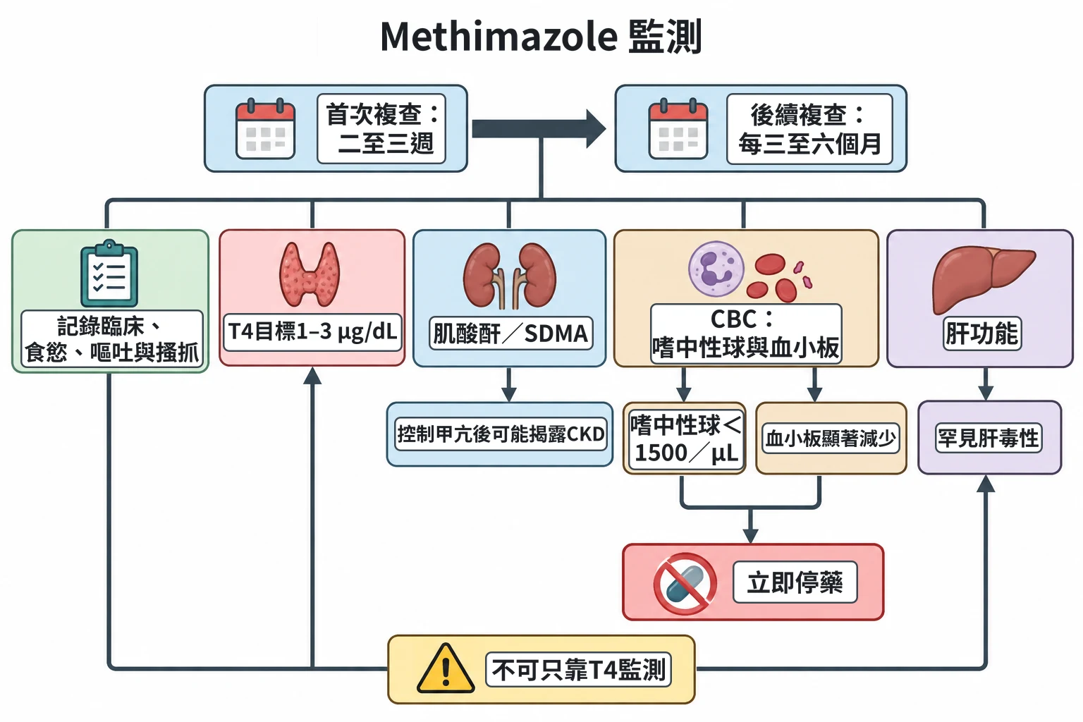 Methimazole 監測教學插圖