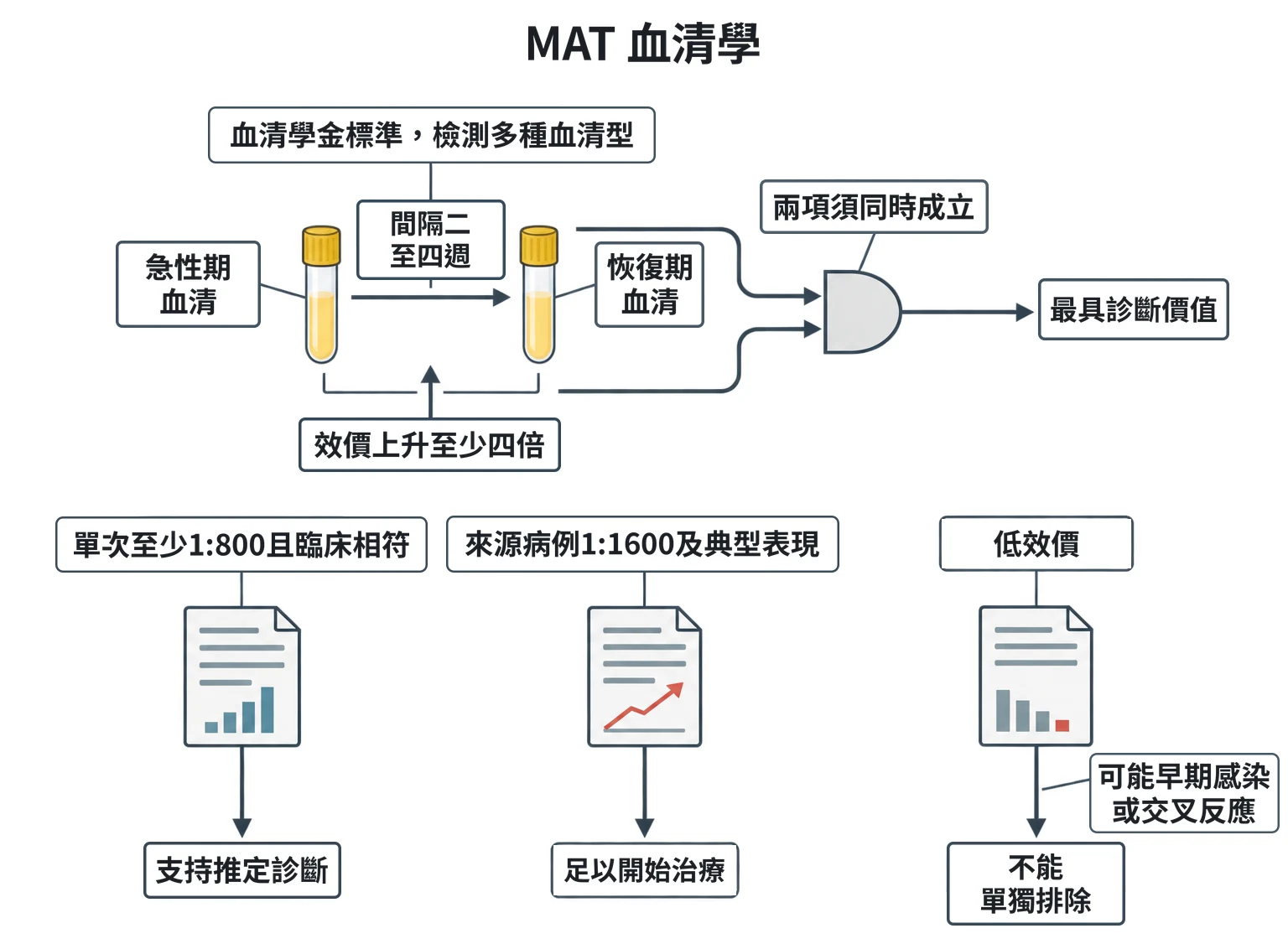 MAT 血清學教學插圖