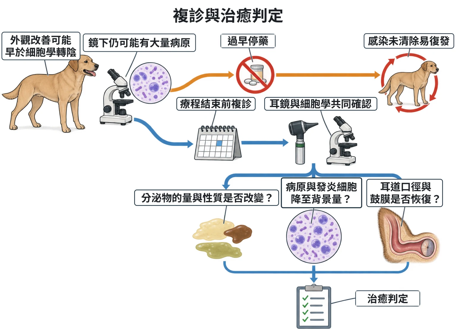 複診與治癒判定教學插圖