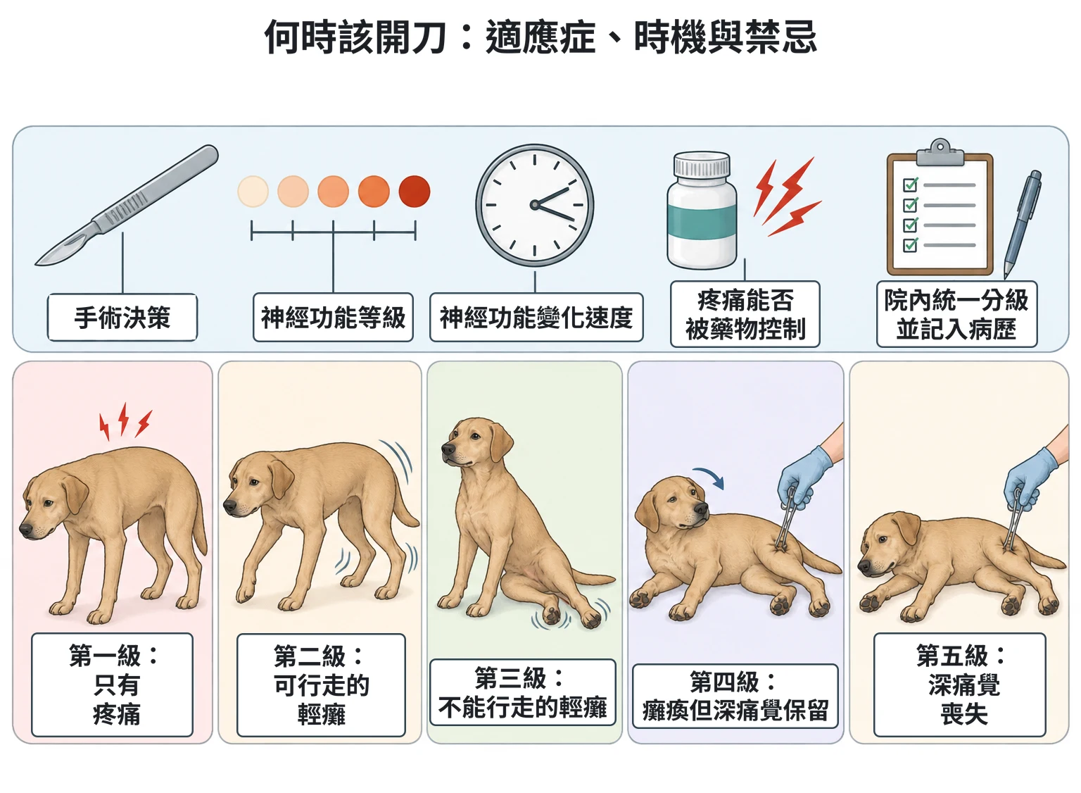 何時該開刀:適應症、時機與禁忌教學插圖