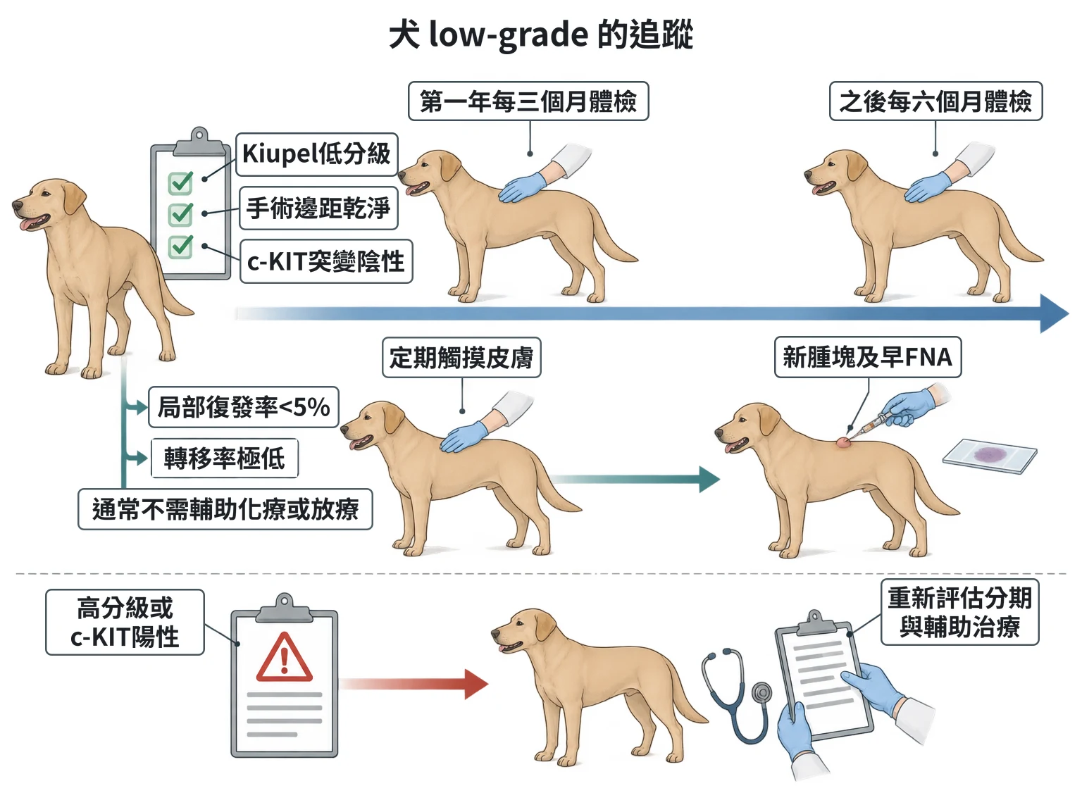 犬 low-grade 的追蹤教學插圖