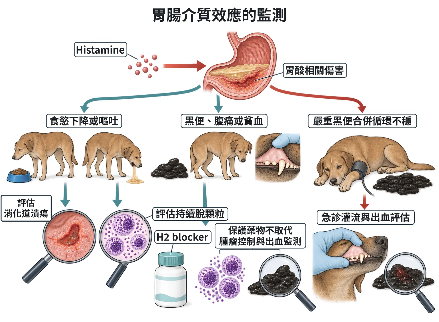 胃腸介質效應的監測教學插圖