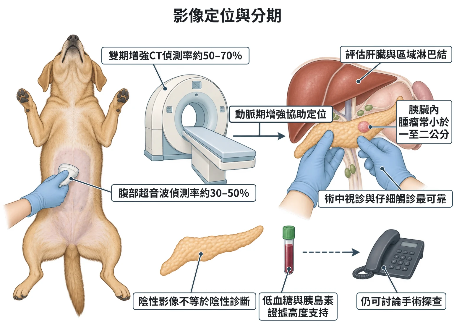 影像定位與分期教學插圖