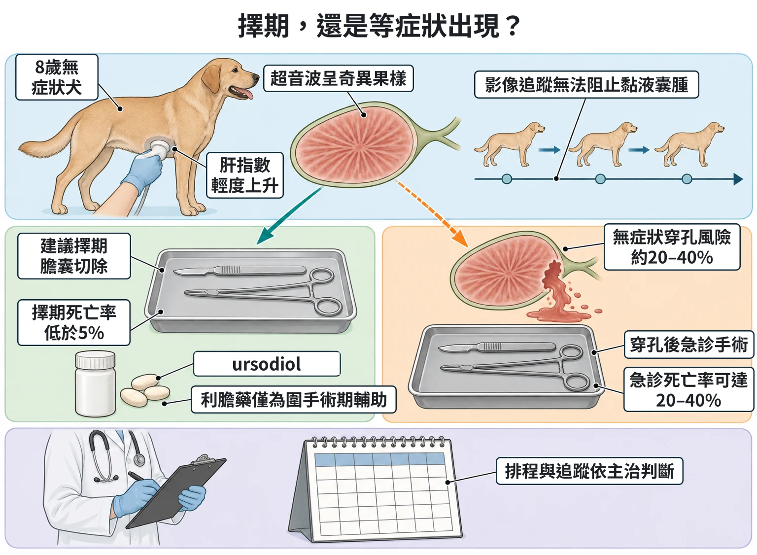 擇期,還是等症狀出現?教學插圖
