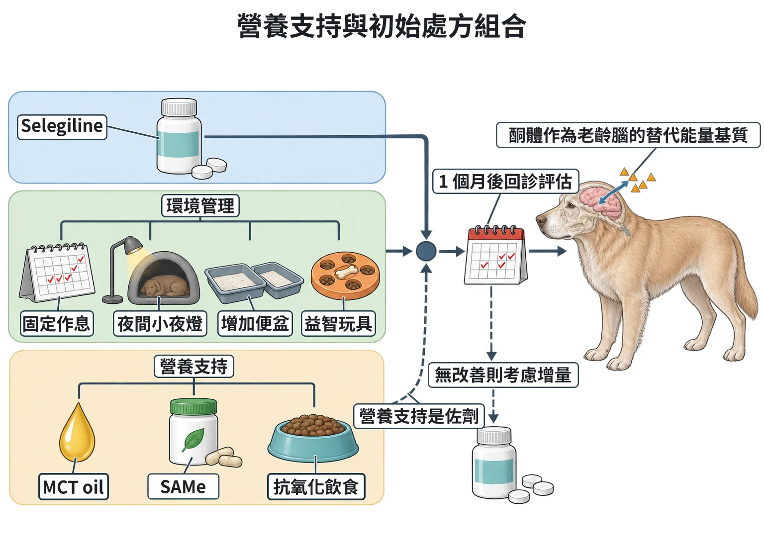 營養支持與初始處方組合教學插圖
