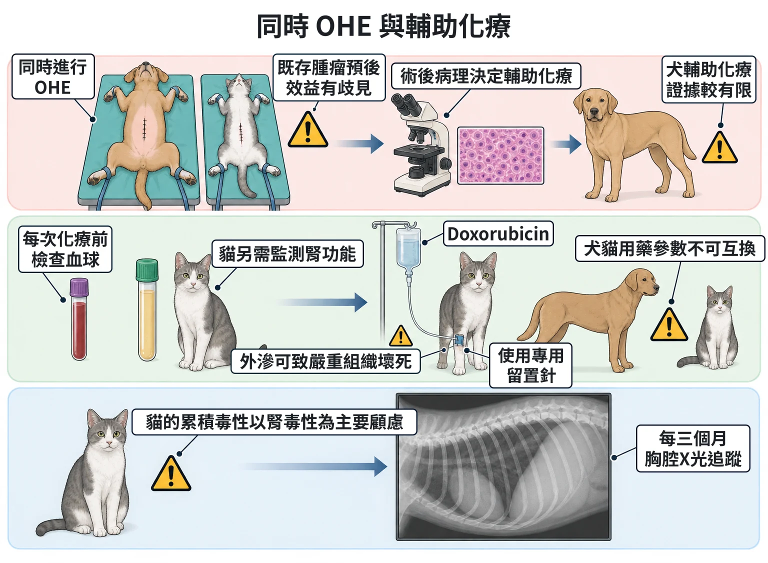 同時 OHE 與輔助化療教學插圖