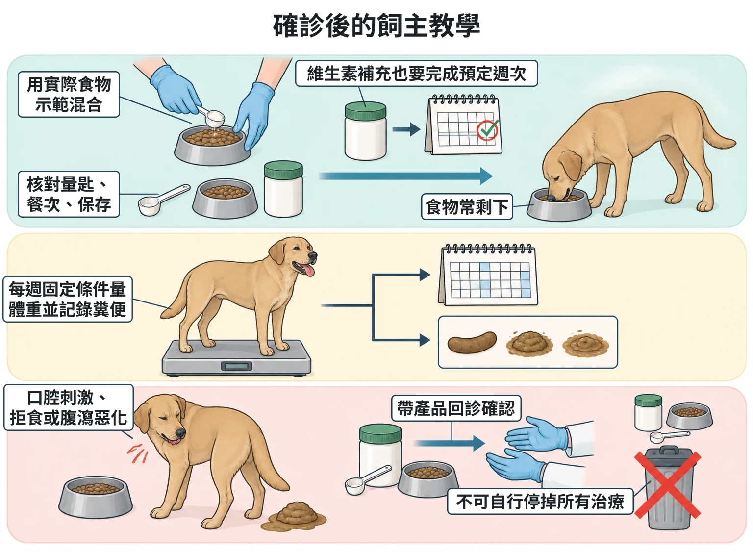 確診後的飼主教學教學插圖