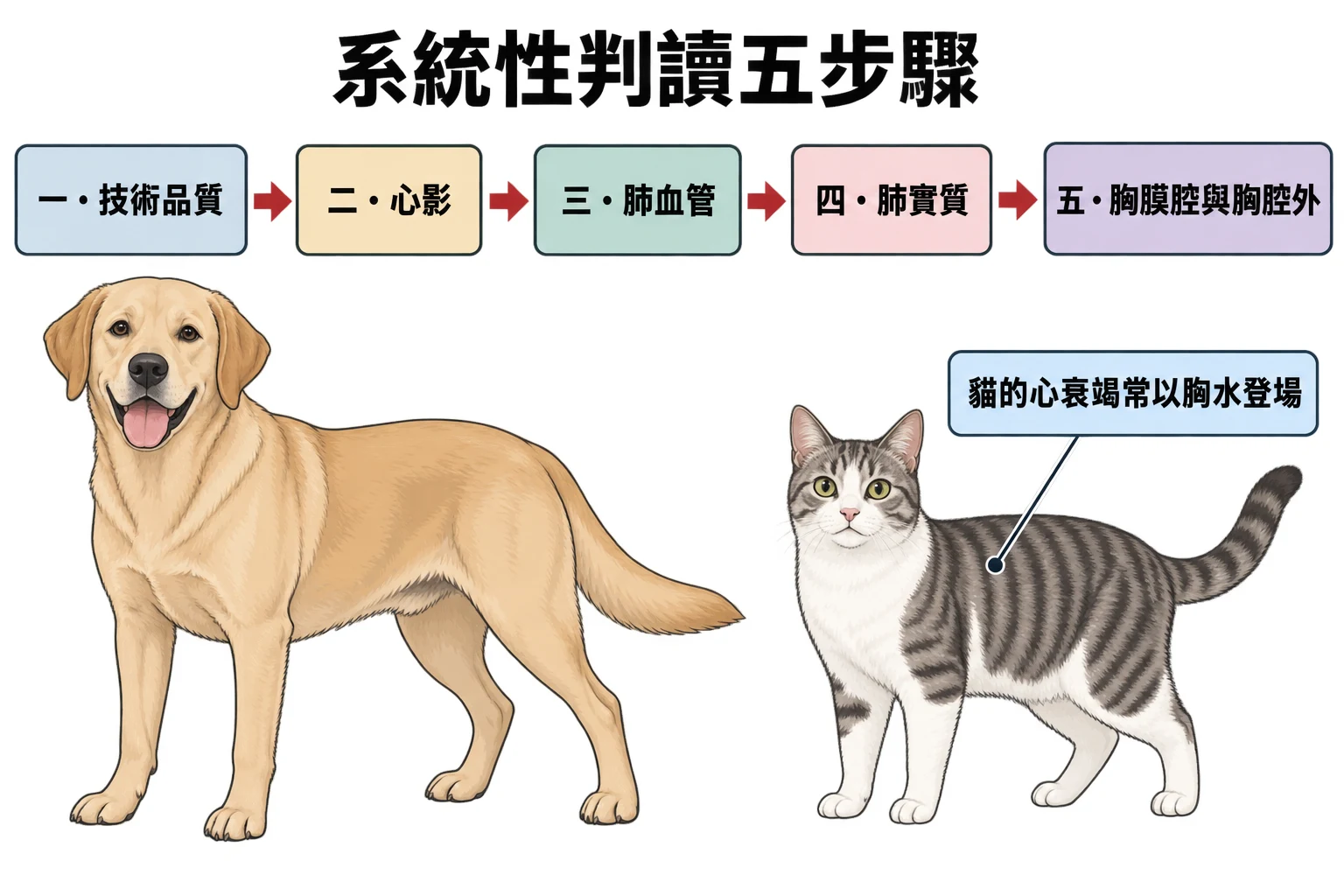 系統性判讀五步驟教學插圖