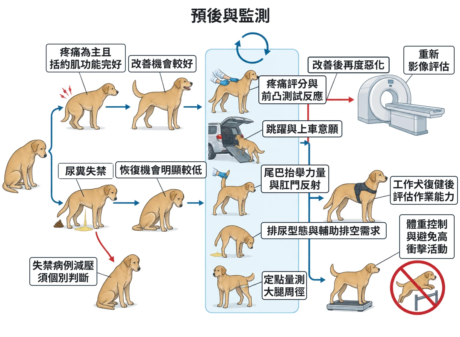 預後與監測教學插圖