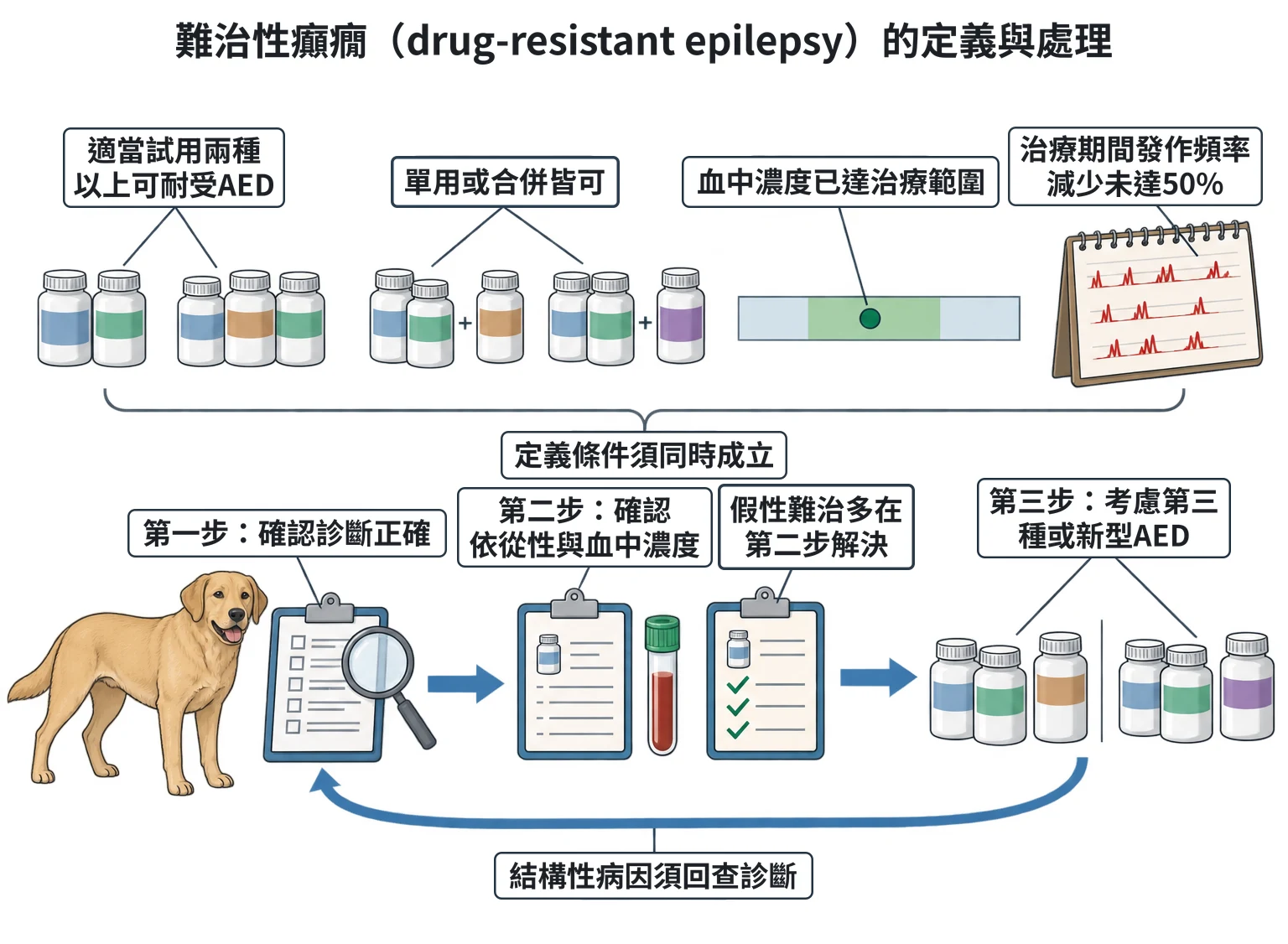 難治性癲癇(drug-resistant epilepsy)的定義與處理教學插圖
