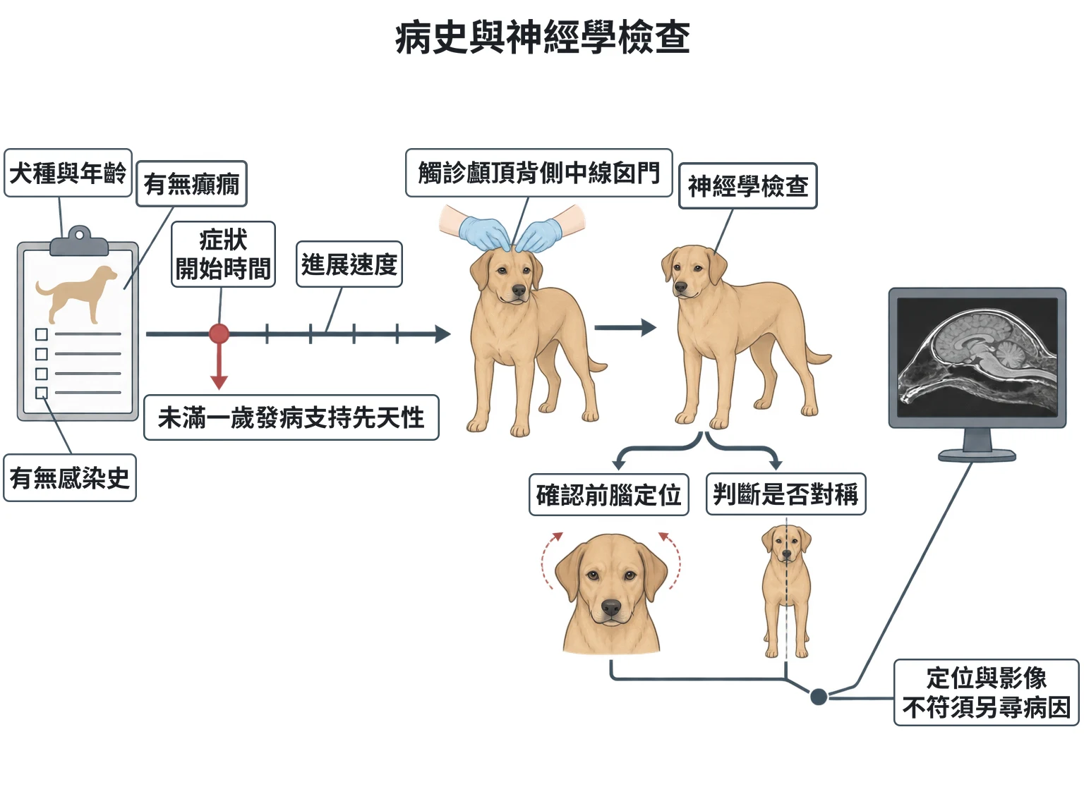 病史與神經學檢查教學插圖