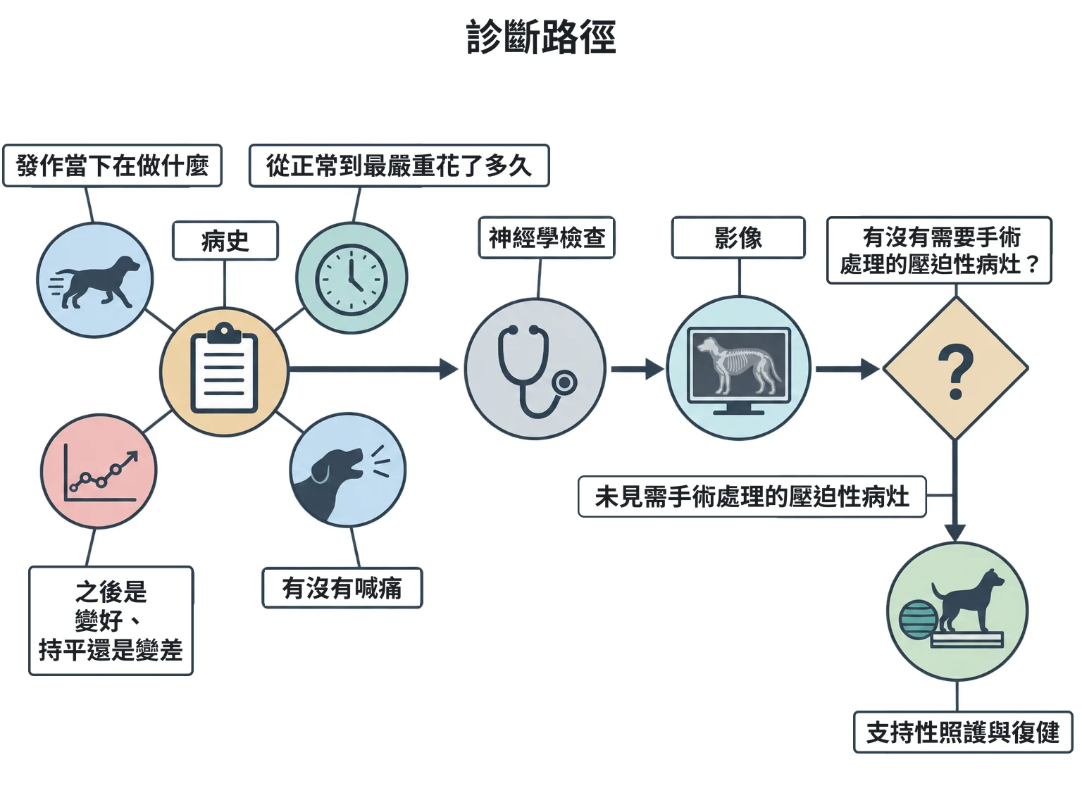 診斷路徑教學插圖