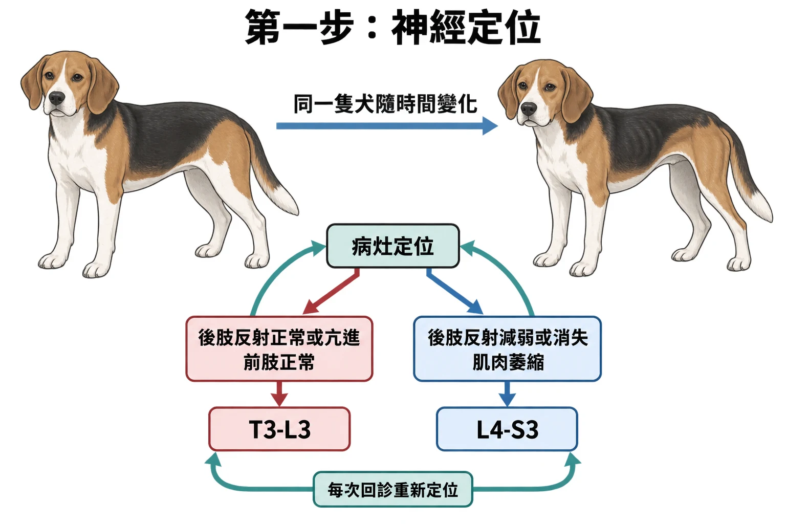 第一步:神經定位教學插圖