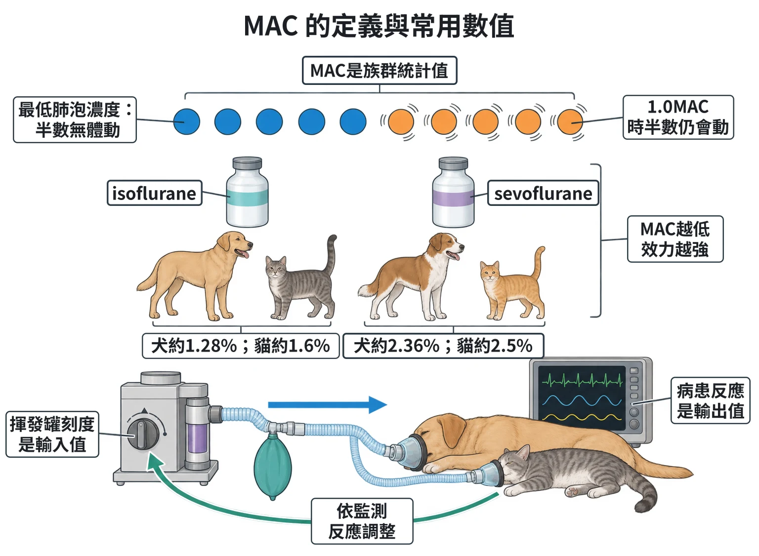 MAC 的定義與常用數值教學插圖