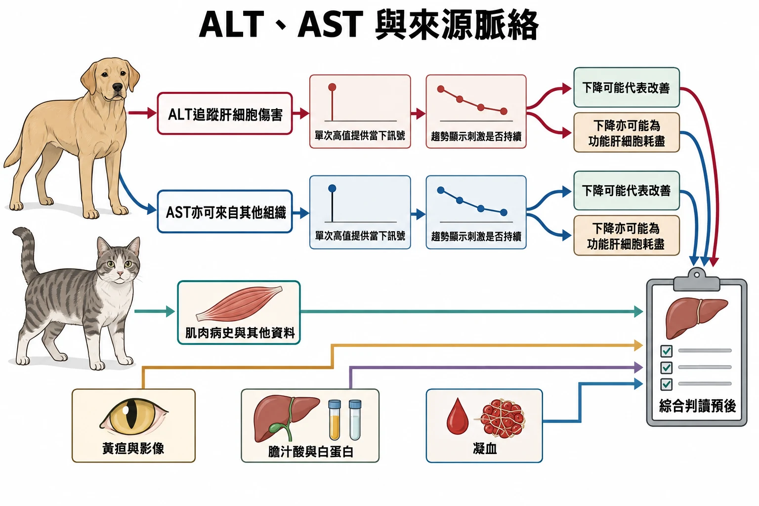 ALT、AST 與來源脈絡教學插圖