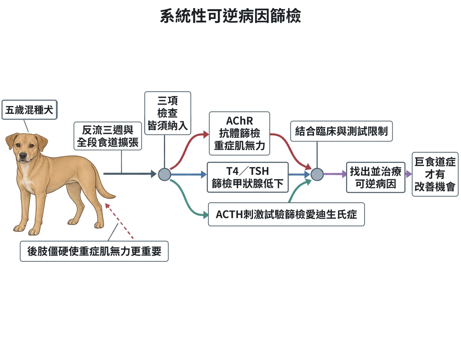 系統性可逆病因篩檢教學插圖