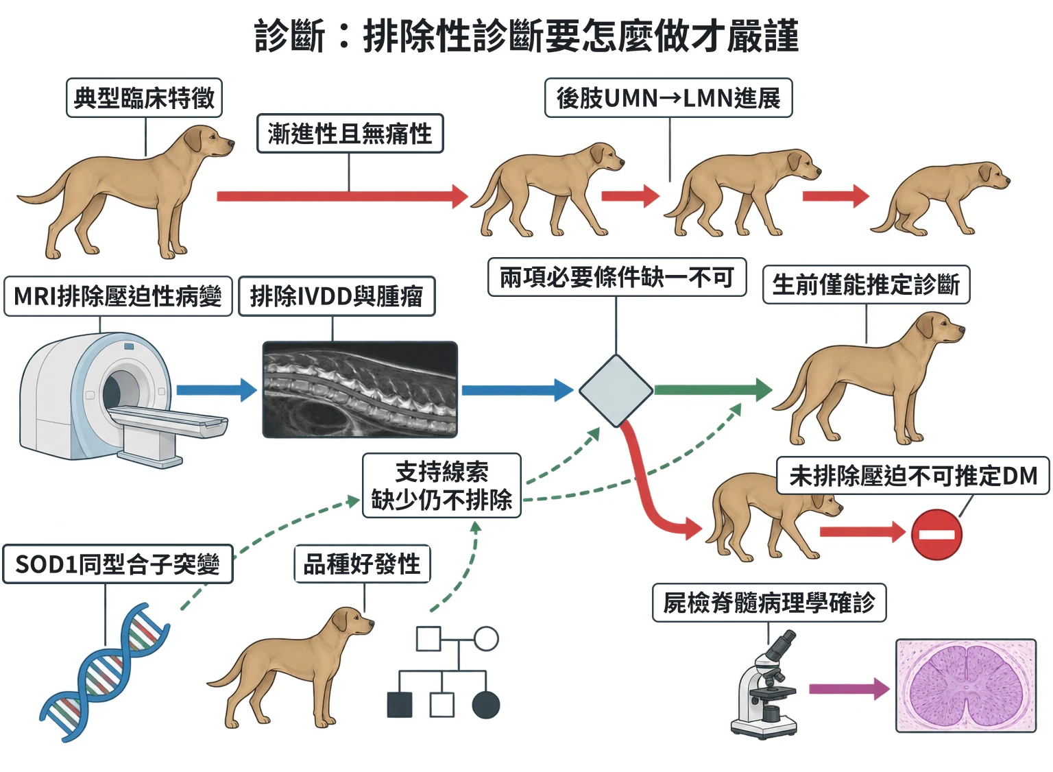 診斷:排除性診斷要怎麼做才嚴謹教學插圖
