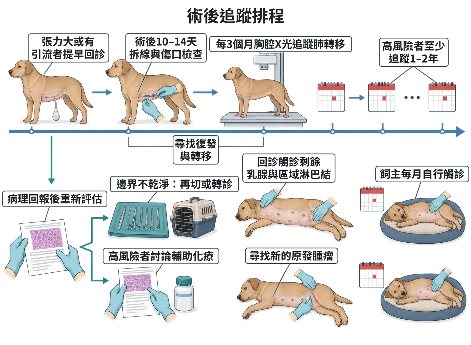 術後追蹤排程教學插圖