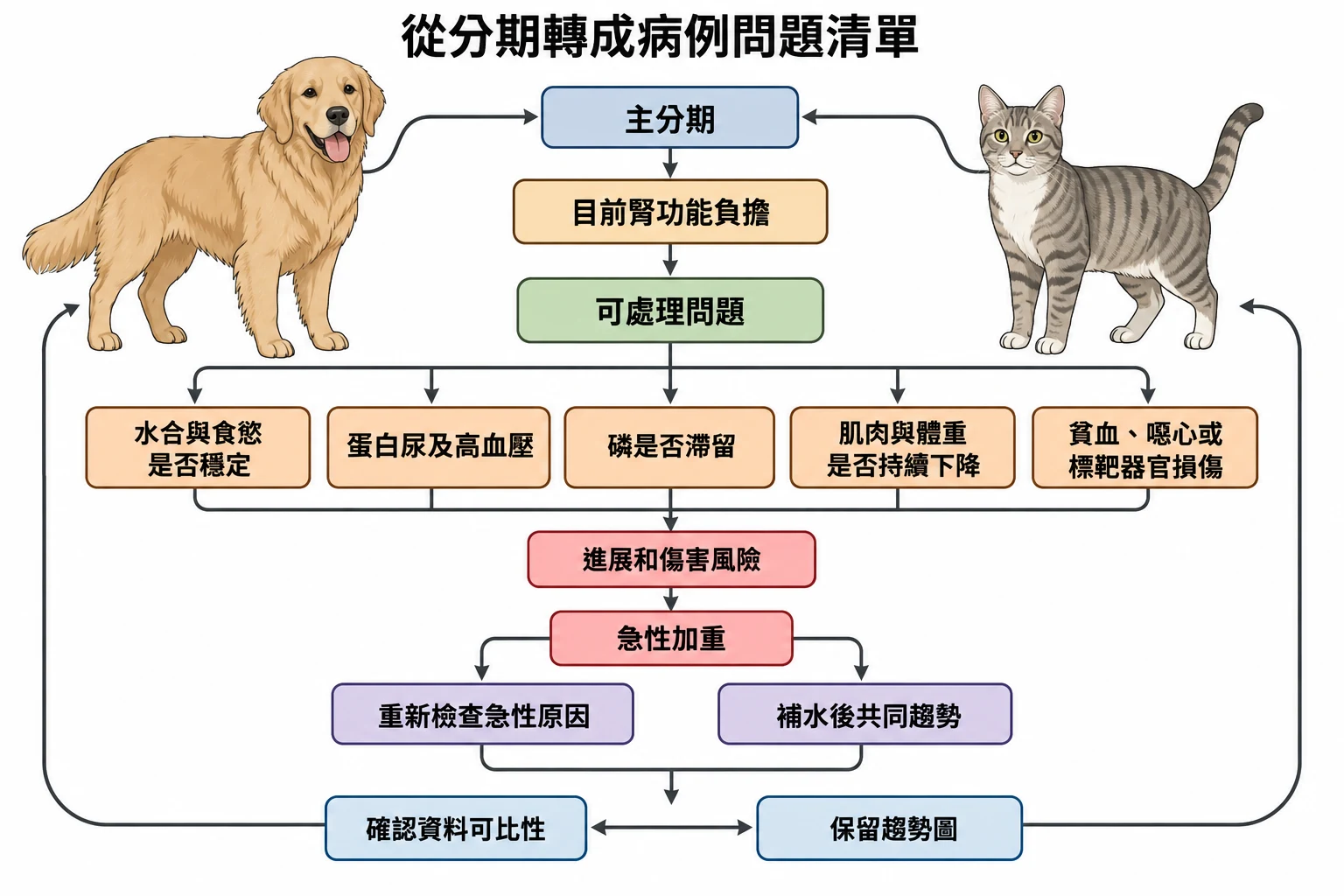 從分期轉成病例問題清單教學插圖