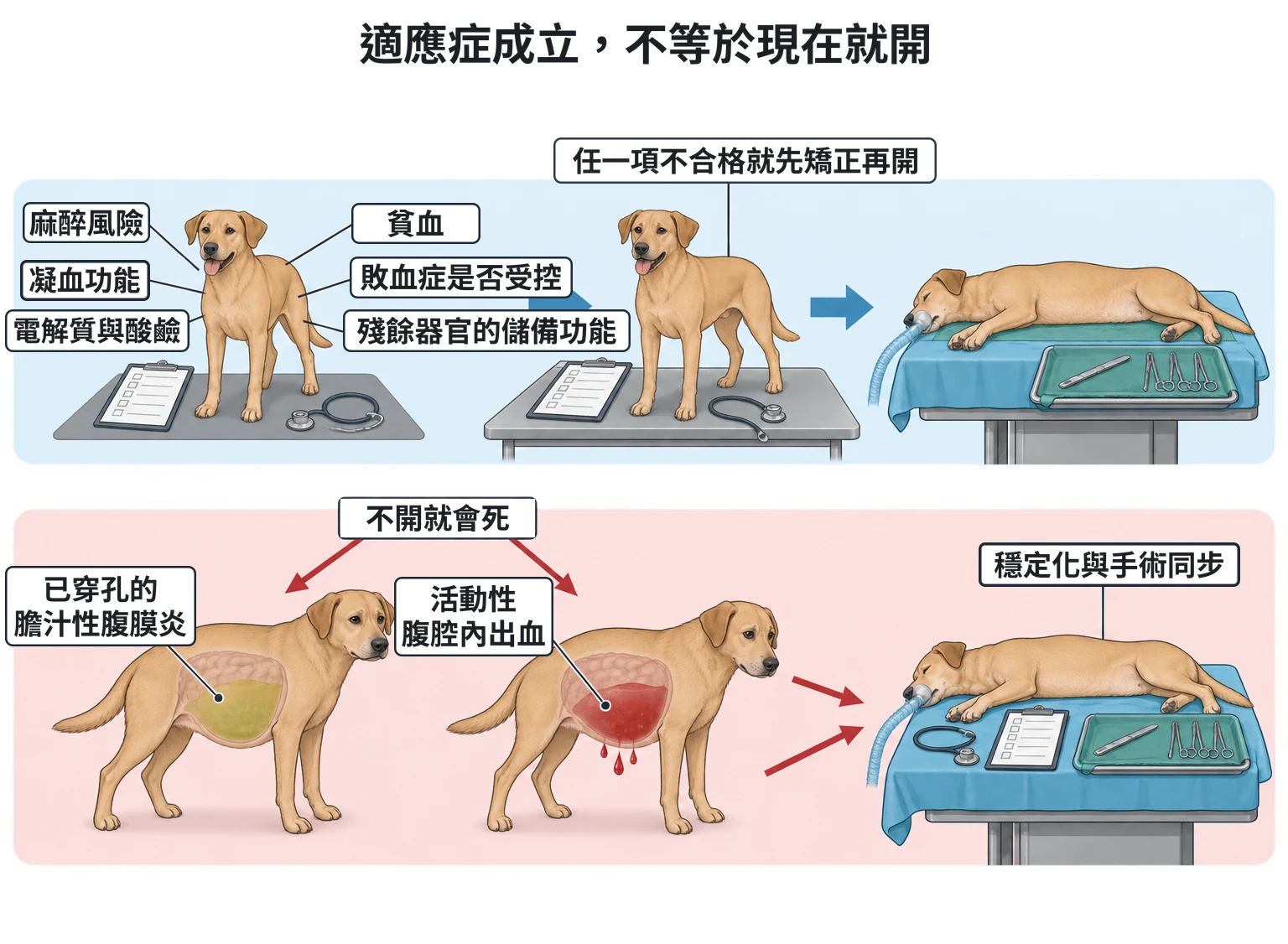 適應症成立,不等於現在就開教學插圖