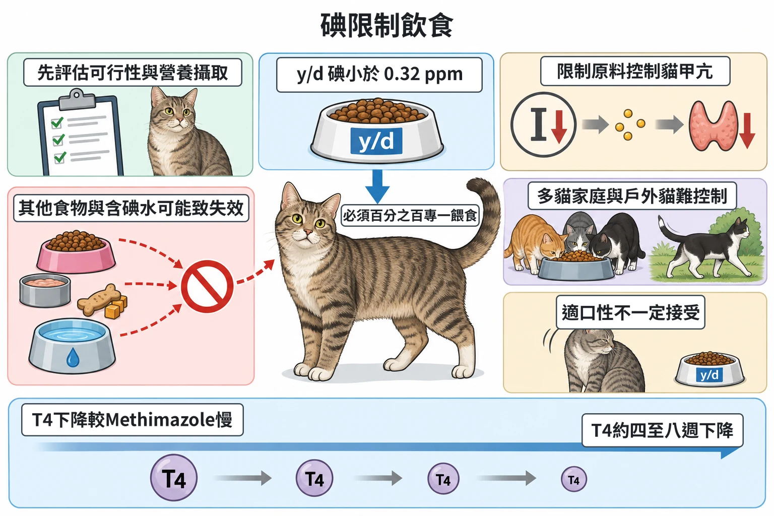 碘限制飲食教學插圖