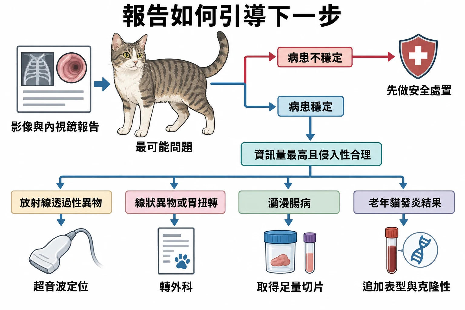報告如何引導下一步教學插圖
