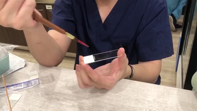 血液採樣(血片)操作1 縮圖