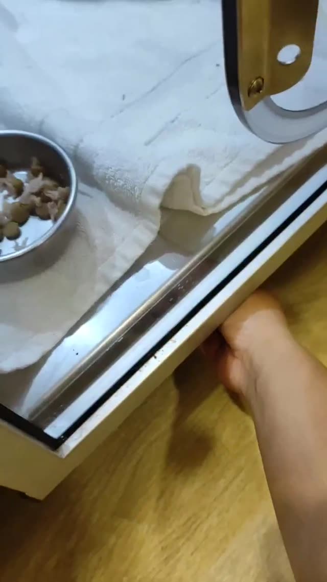 亞海ICU保養-底盤清洗 縮圖